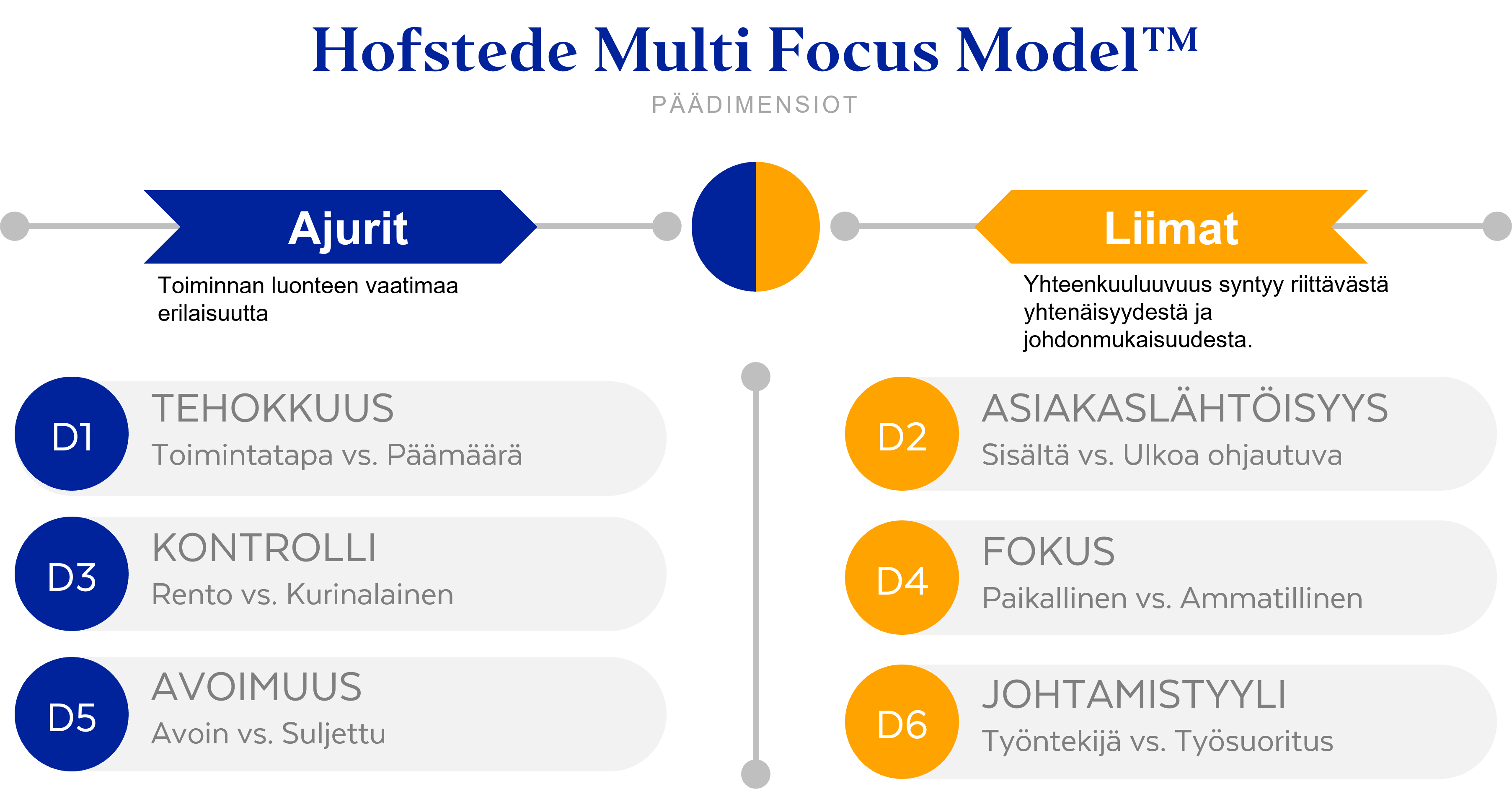 Hofstede-multifocusmodel-ajurit-ja-liimat