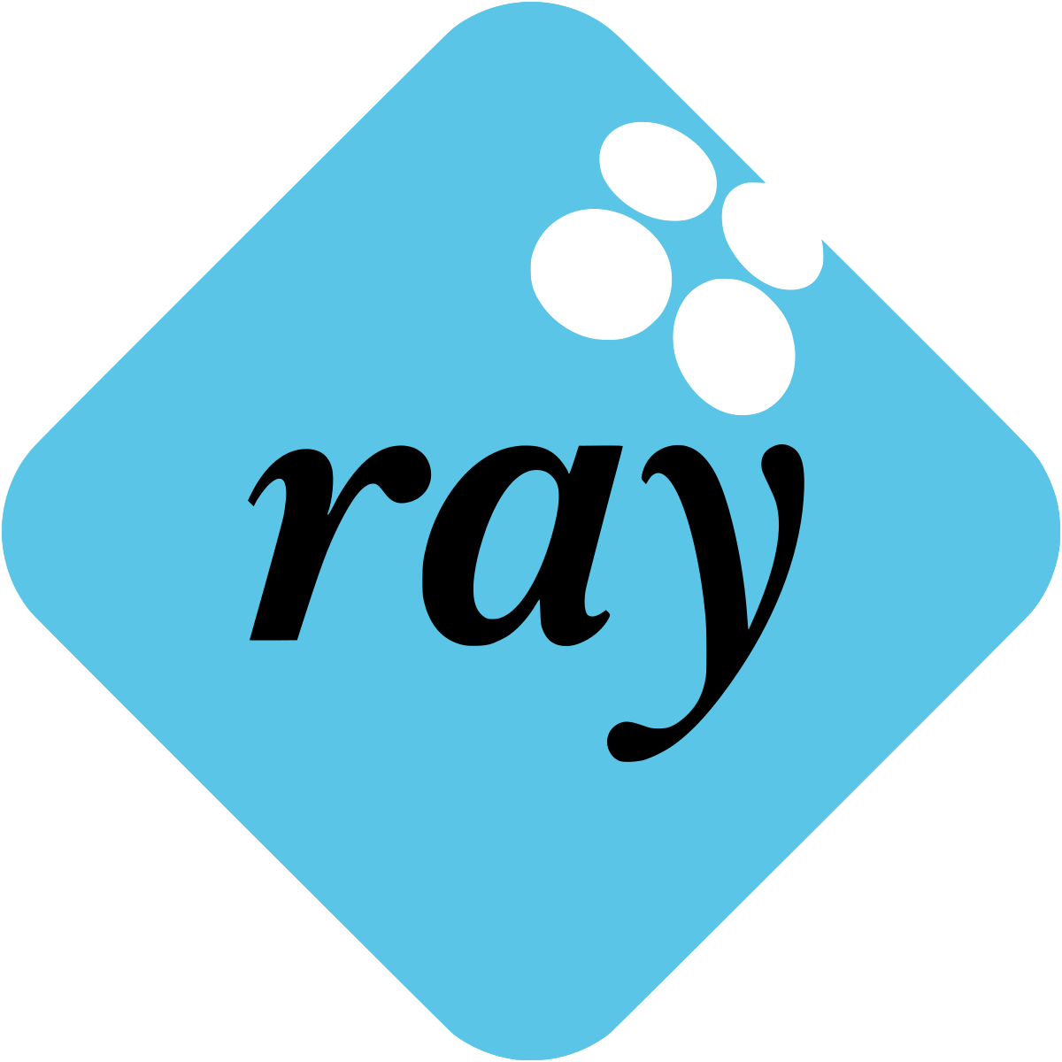 ray-logo